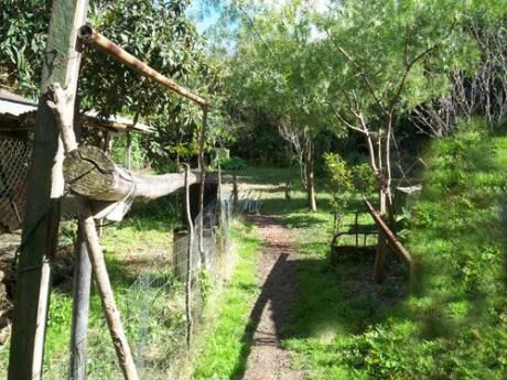 Ph Del Fondo, Entrada Para Camión, 1200 De Terreno.