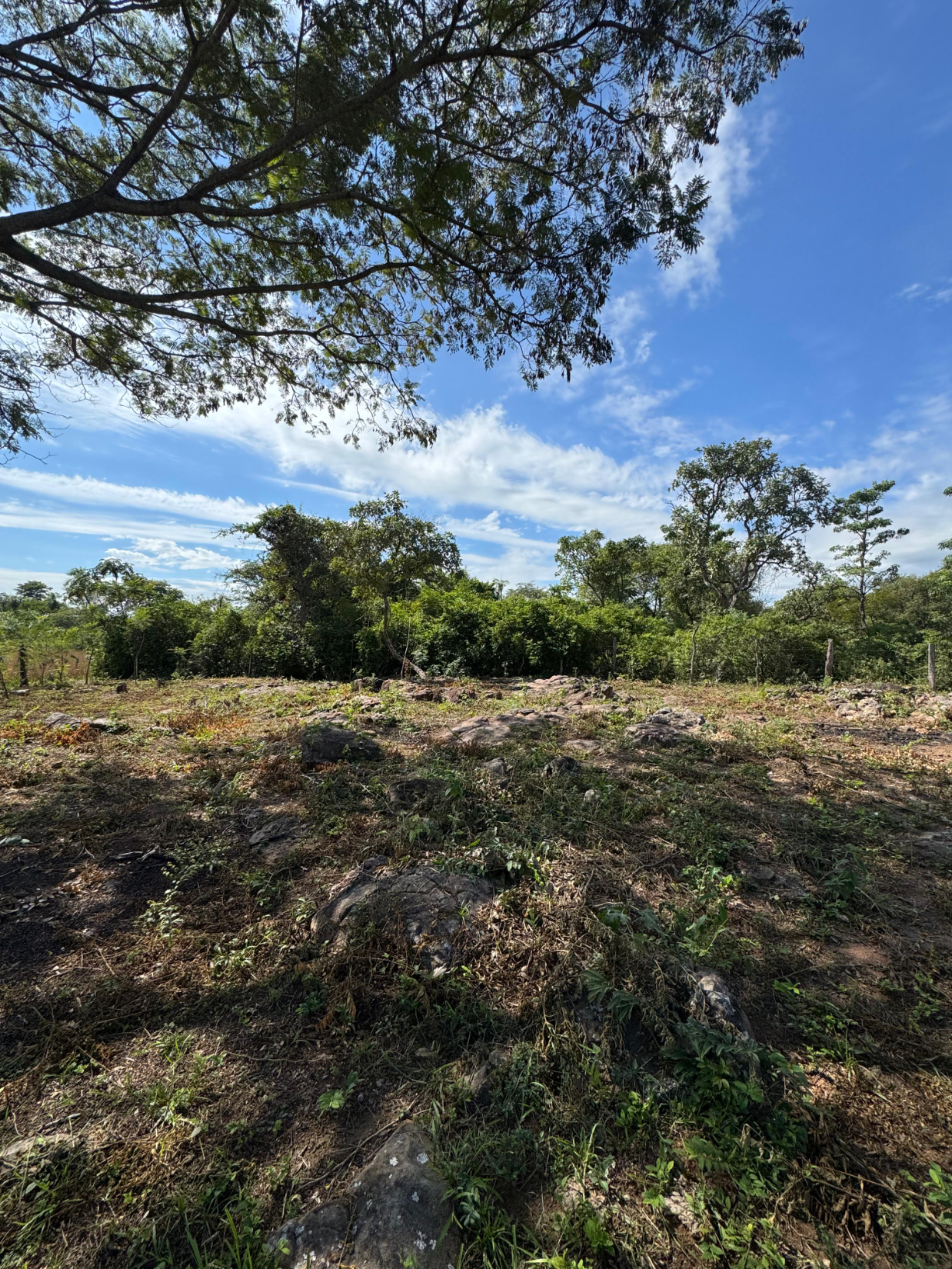 Vendo 7,2 Hectáreas En Arroyos Y Esteros -recibo Vehículo Cerca Al Río Manduvira — foto 3