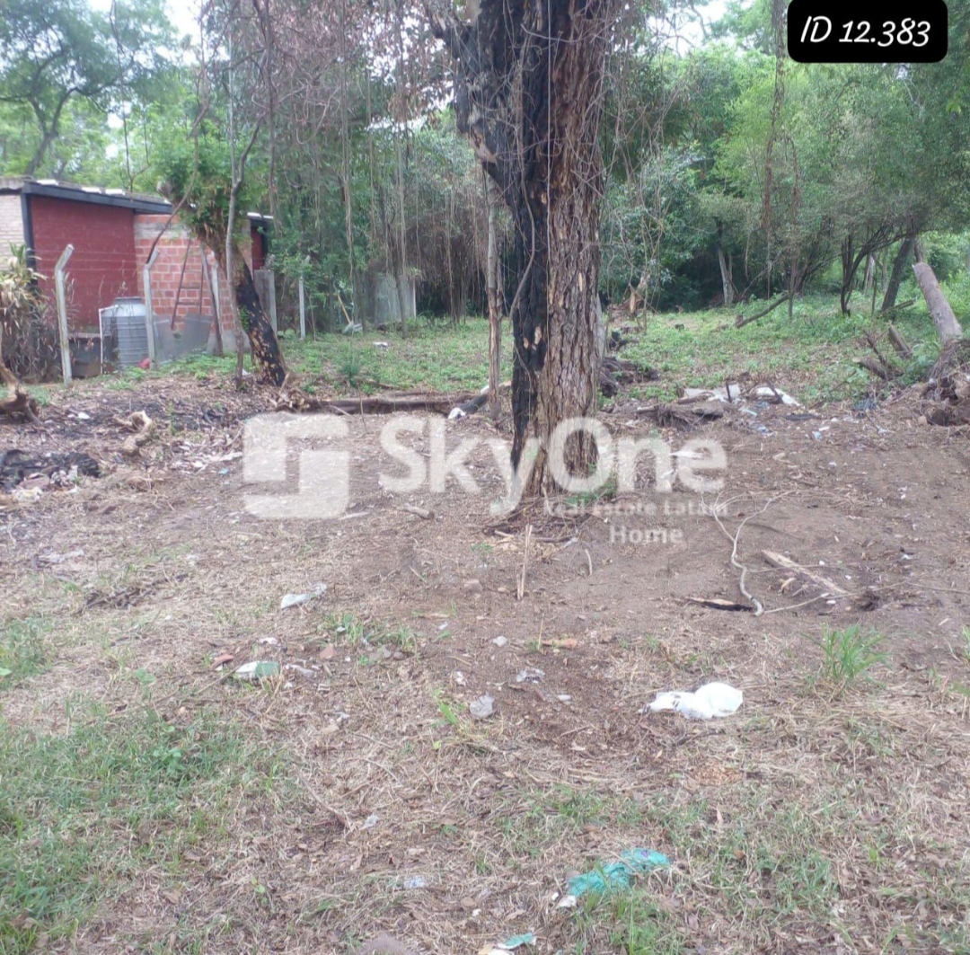VENDO  TERRENO – SAN BERNARDINO — foto 2