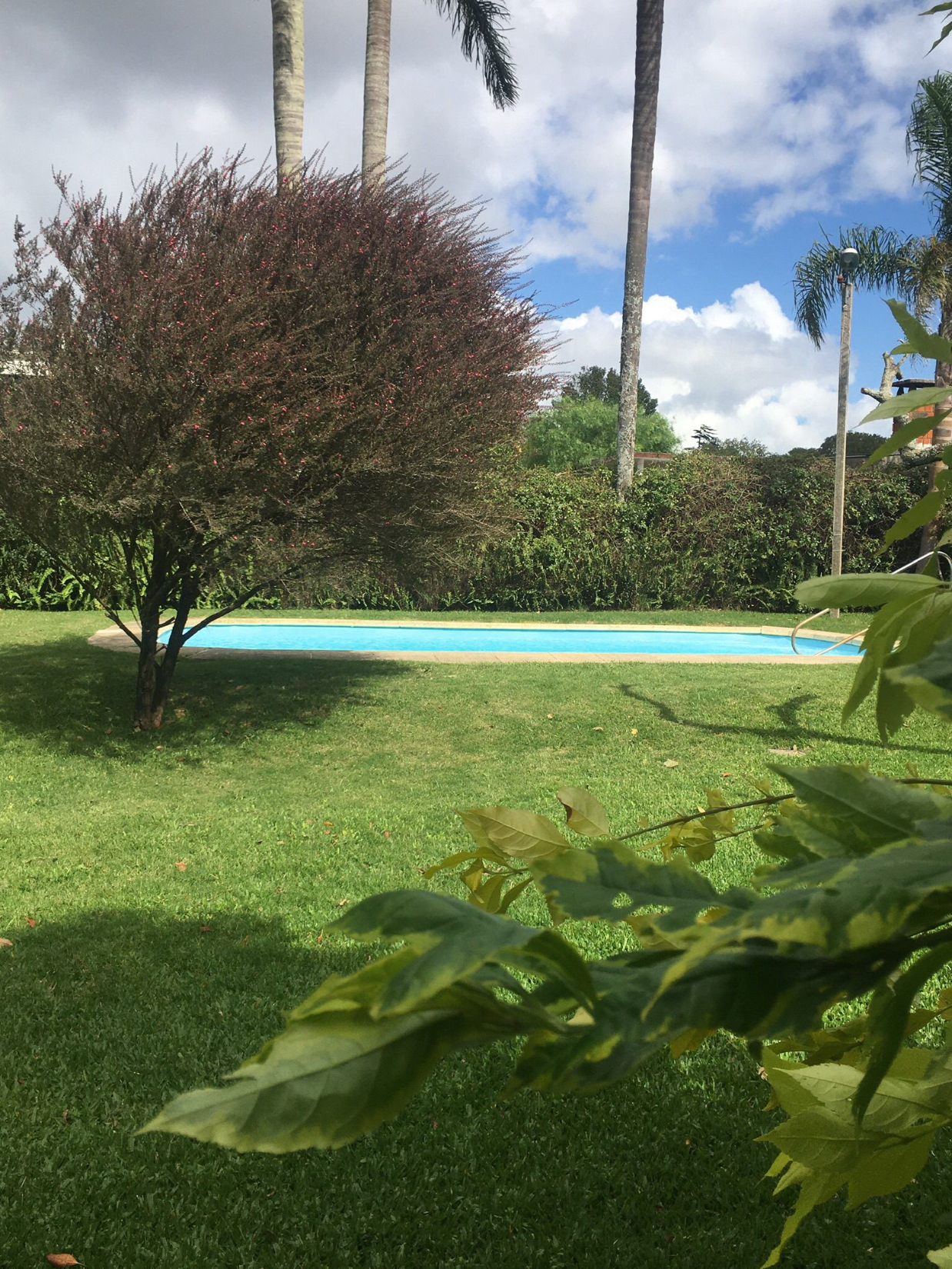 Photo 3 of 26