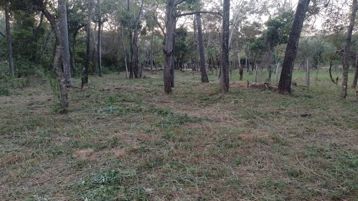 VENDO TERRENO EN SAN BERNARDINO — foto 2