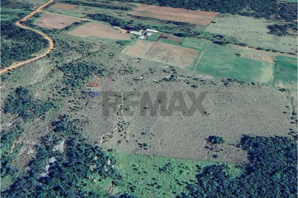 VENDO CAMPO EN YBYCUI PARAGUARI 29 HECTAREAS — foto 2