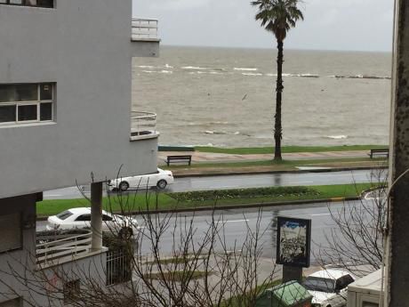 Excelente Ubicacion, Terraza C/vista Al Mar De Pta.carretas