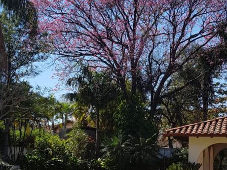 Alquilo Hermosa Residencia En Carmelitas, Semi Nueva