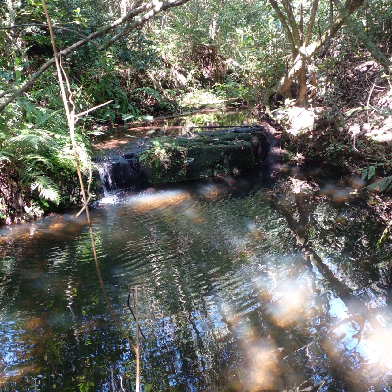 Terreno en Venta en Piribebuy - Cerca de Chololo. — foto 2