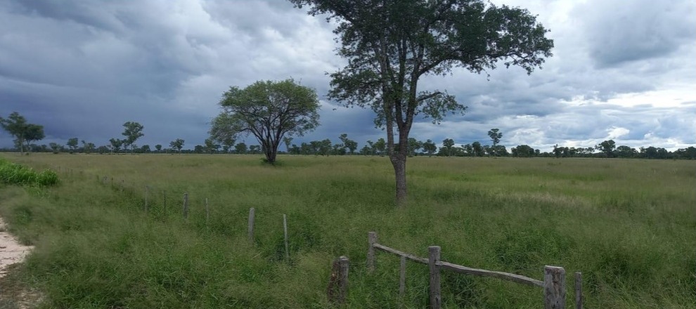 Vendo Propiedad de 7.100 Hectáreas Puerto Sastre, Carmelo Peralta - CLCS6762589 — foto 2