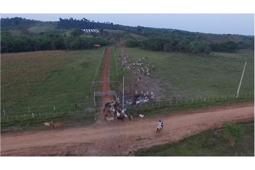Campo En Arroyos Y Esteros - Sobre El Río Piribebuy. — foto 2