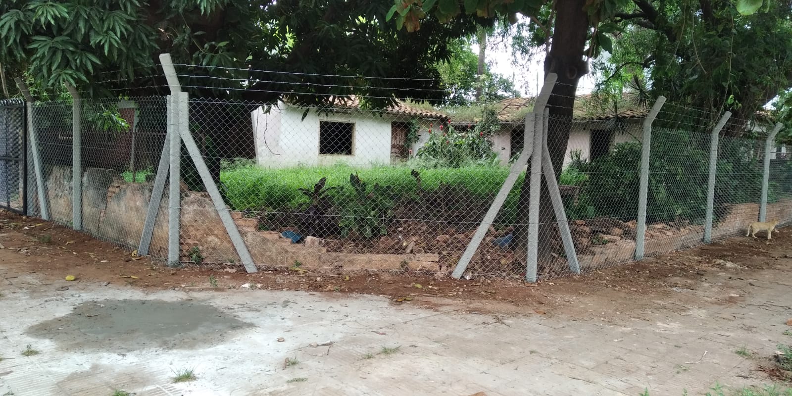 SE VENDE TERRENO EN ESQUINA – VILLA AURELIA. GENIAL PARA INVERSIÓN — foto 3
