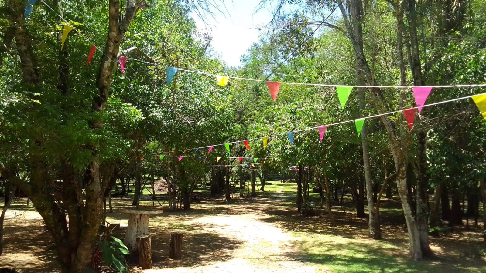 VENDO CASA QUINTA — foto 3