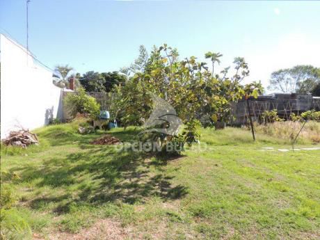 Terrenos Venta Malvin Norte Montevideo Con Casa