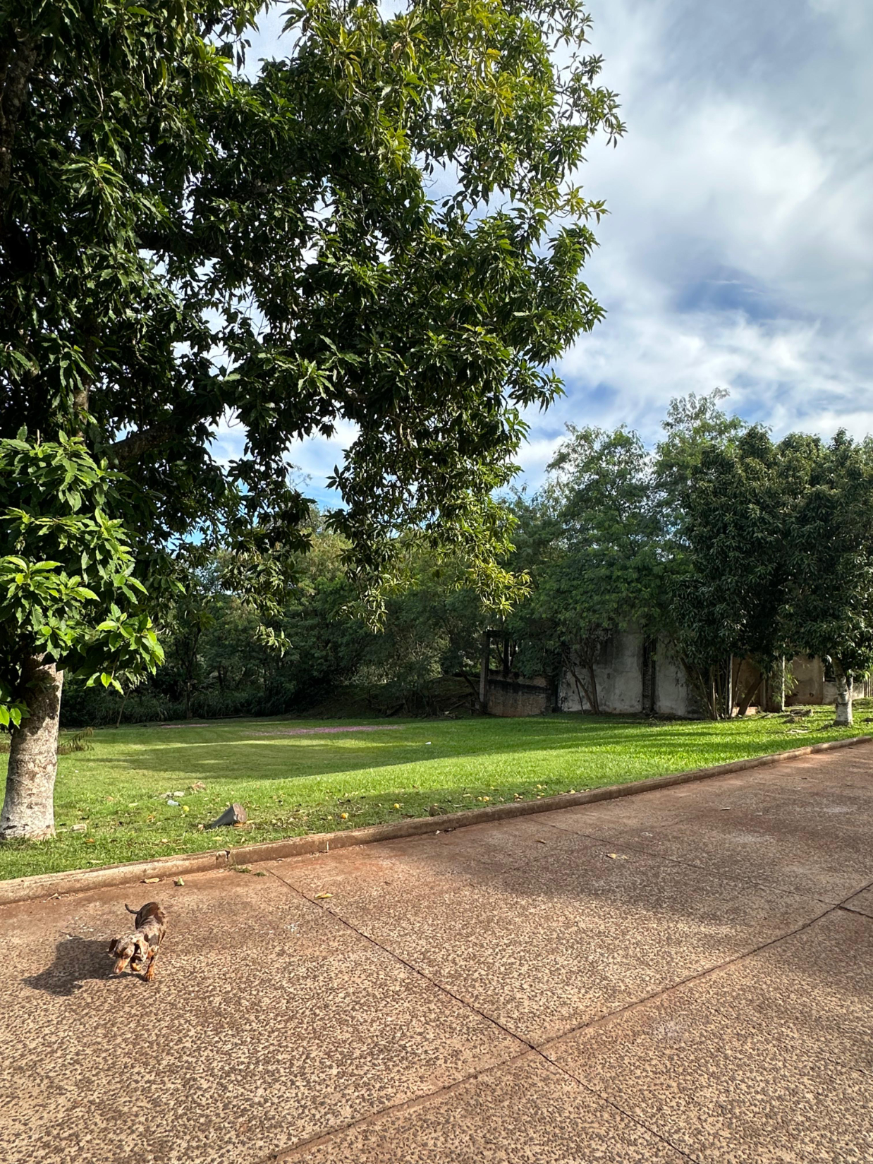 VENDO TERRENO CON EXCELENTE UBICACION EN EL PARANA COUNTRY CLUB — foto 3