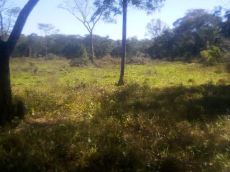 Propiedad Agricola Ganadera, San Jose De Chiquitos, 100 Km De Taperas.