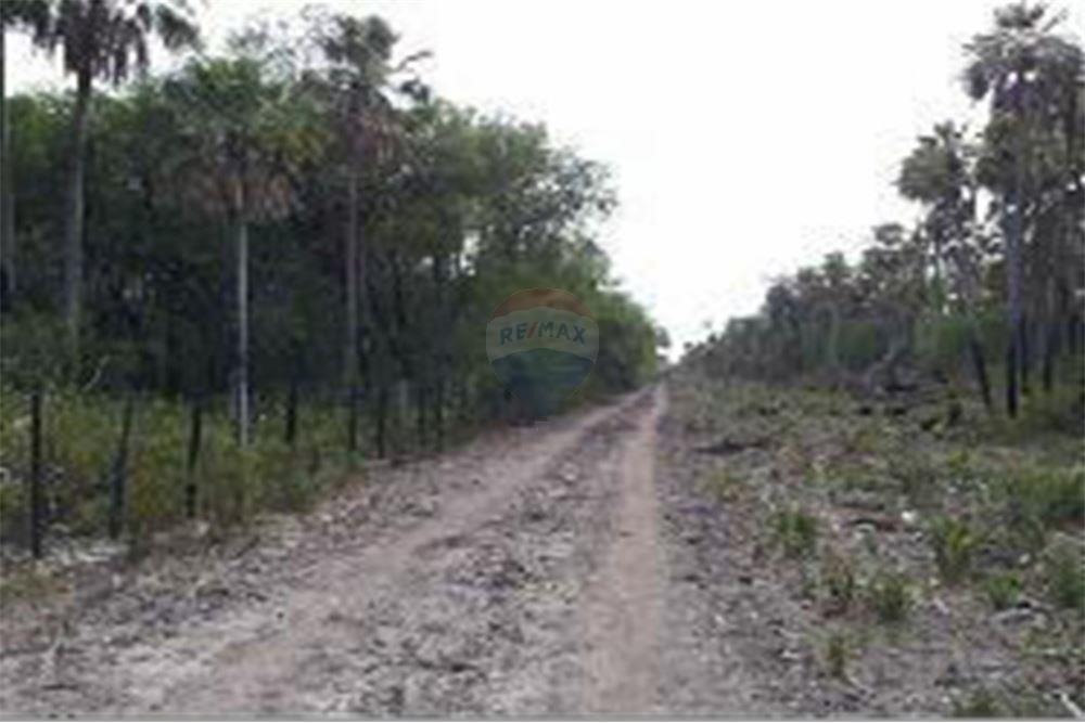 VENDO ESTANCIA EN EL CHACO PRESIDENTE HAYES 2.387 HAS — foto 3
