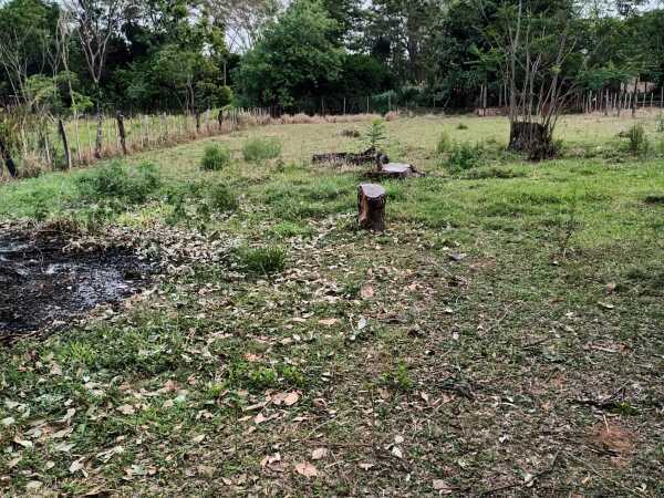 VENDO 17.306 HAS PEGUAJHO YAGUARON — foto 3