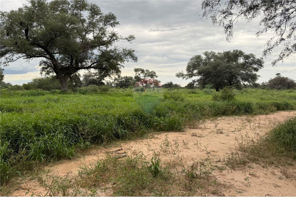 Estancia Campo Venta Neuland Boquerón Paraguay — foto 2