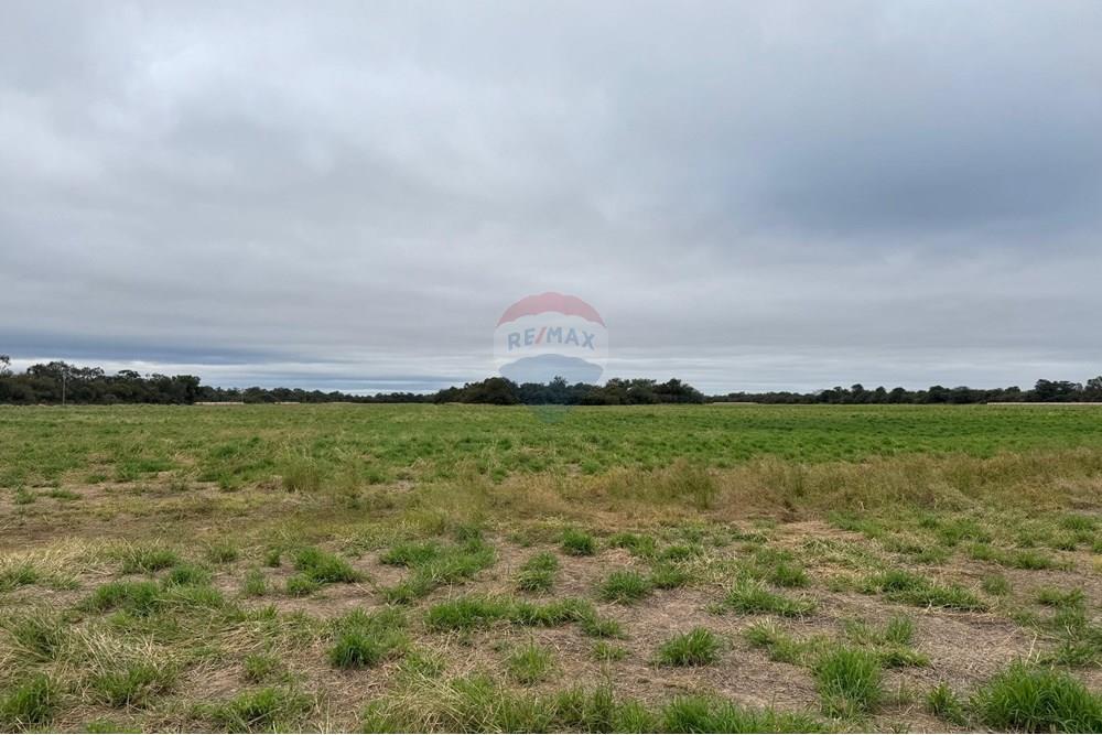 Vendo Terreno de 42,2 Hectáreas en Loma Plata, Departamento Boquerón — foto 3