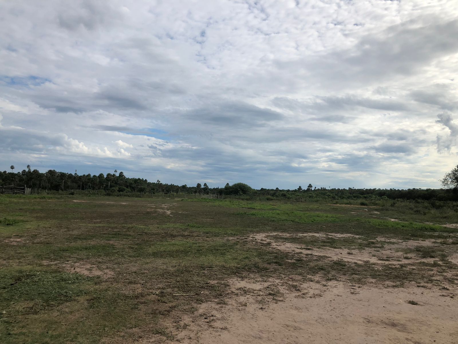 VENDO ESTANCIA FORMADA DE 1796 HECTAREAS A TAN SOLO 500 USD POR HECTAREA — foto 3