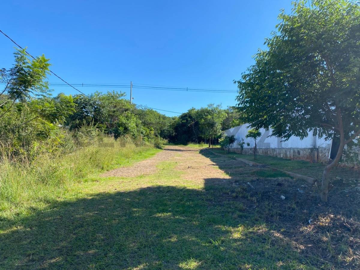 VENDO TERRENO DE 1.200 m2 EN SAN BERNARDINO — foto 3