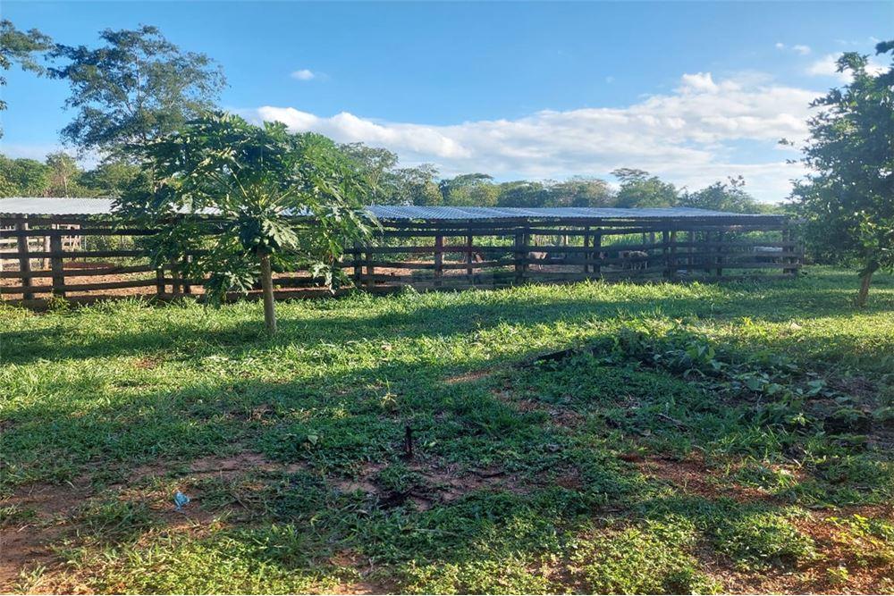 Estancia/Campo - Venta - Concepción Belén — foto 3