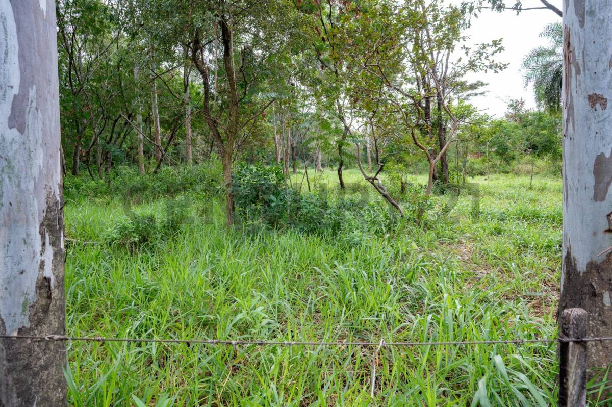 Venta de Terreno en Altos, Cordillera | ID: 51128 — foto 2