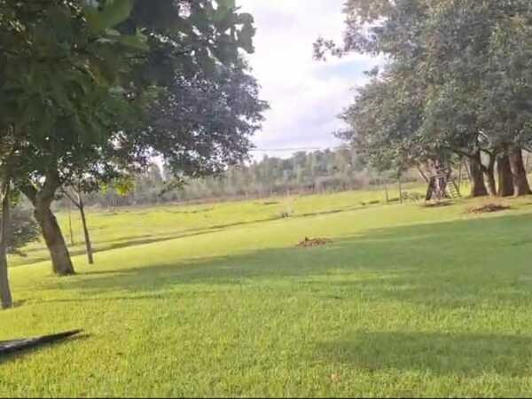 VENDO 14 HAS EN HERNANDARIAS CON CASA Y PISCINA — foto 3