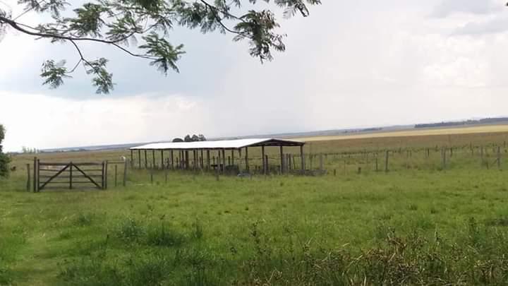 VENDO 285 HECTAREAS EN MISIONES — foto 3