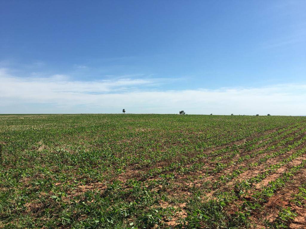 CAMPO EN VENTA | 15 HECTÁREAS CON GRAN POTENCIAL PRODUCTIVO EN ABAÍ, CAAZAPÁ — foto 2