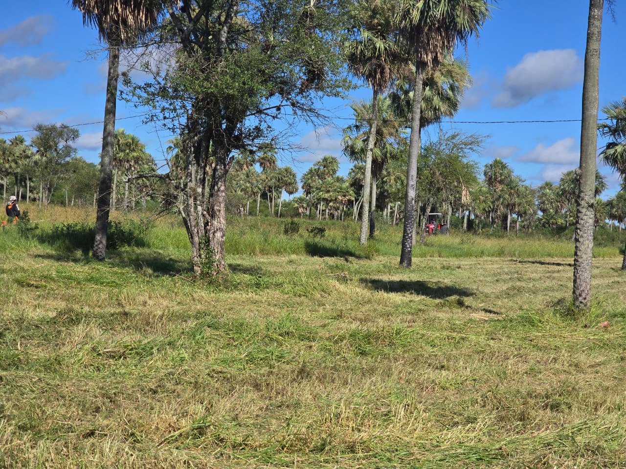 Oportunidad de inversión en Chaco´i/ Nueva Asunción! 3 terrenos en venta — foto 3