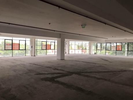 Alquilo Piso Libre Para Oficinas Corporativas En Excelente Ubicacion!!