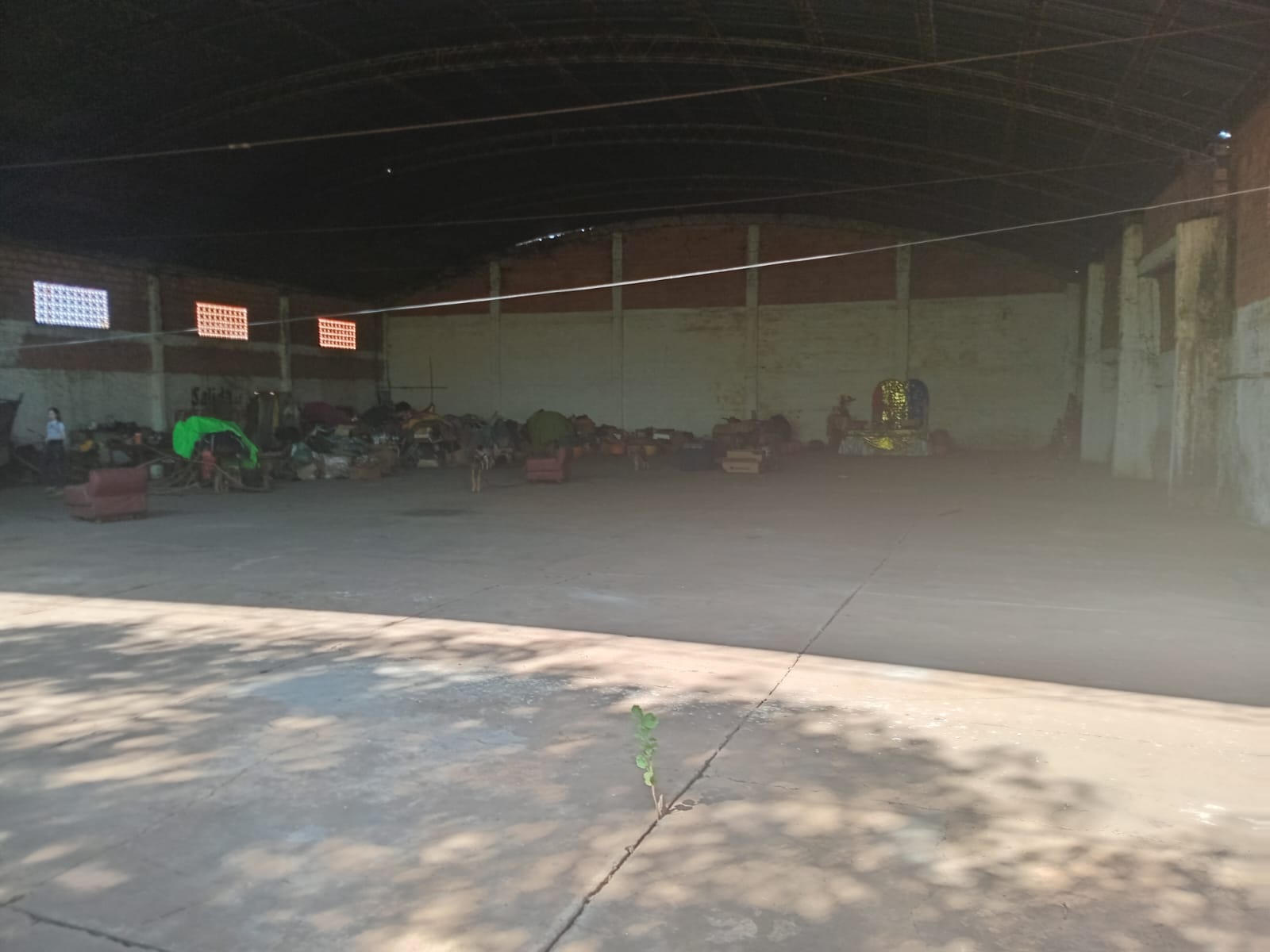 ALQUILER DE AMPLIO TINGLADO EN SAN LORENZO — foto 2