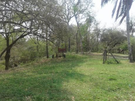 Vendo 109 Hectareas En Benjamin Aceval-bajo Chaco
