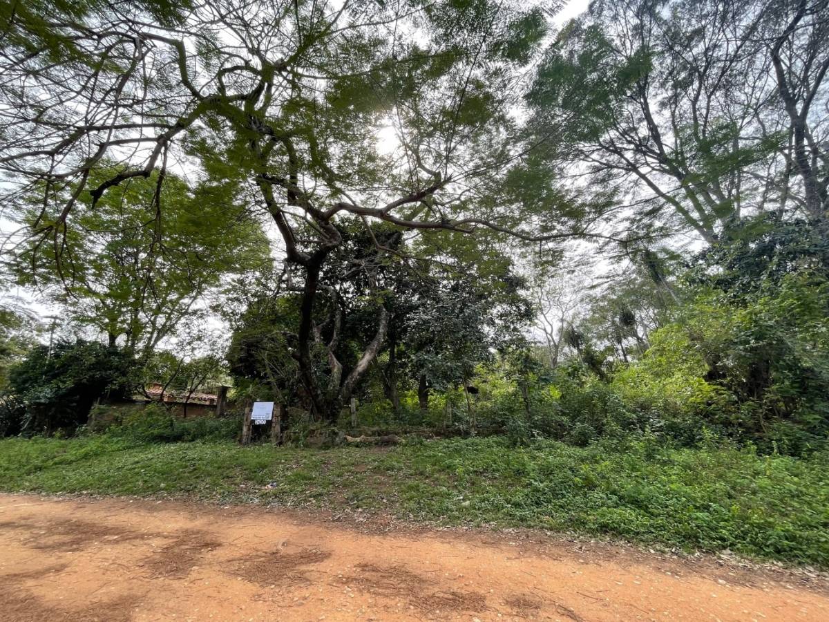 Hermoso terreno a cuadras del anfiteatro — foto 3