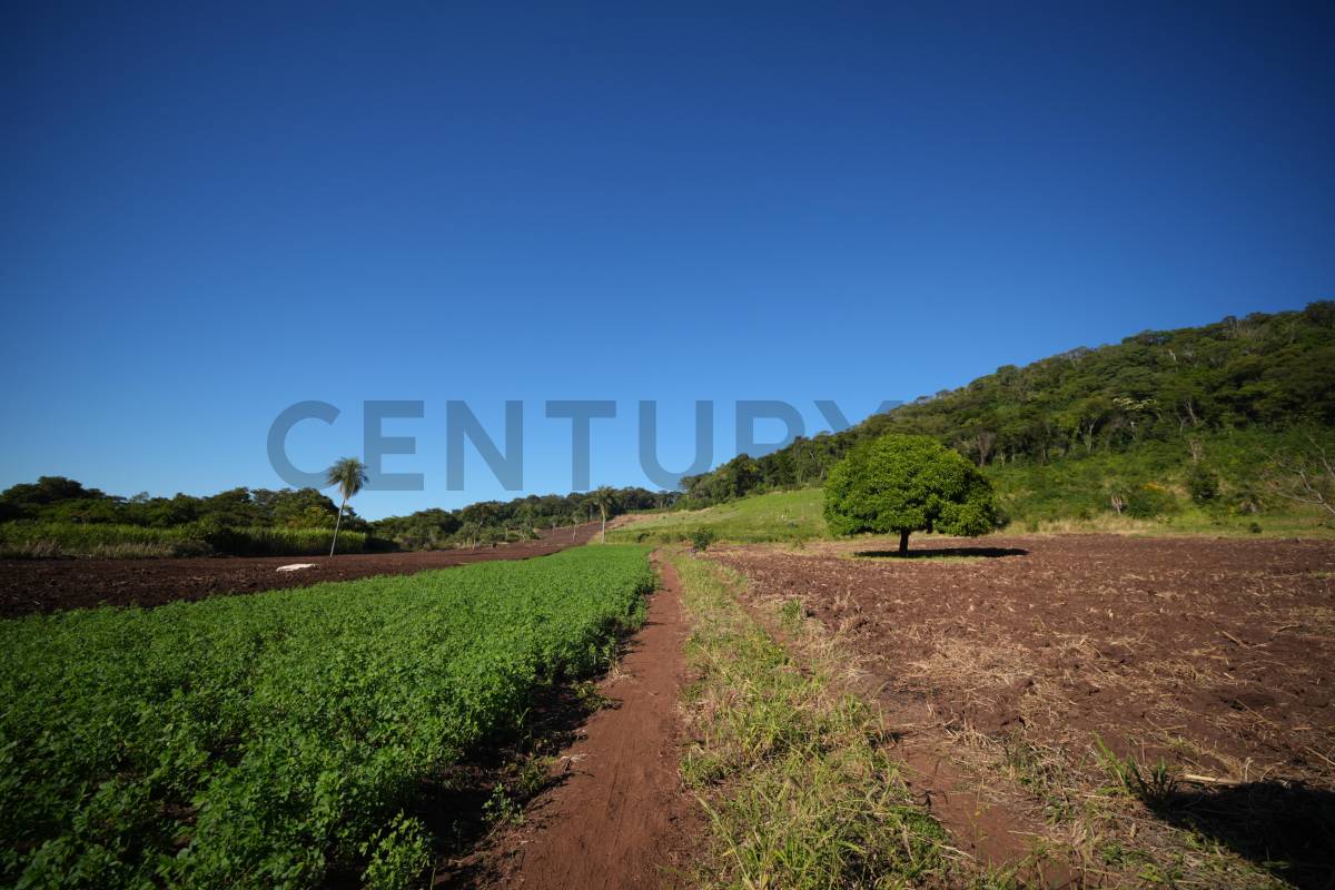 OPORTUNIDAD DE INVERSIÓN, 20 HECTÁREAS EN CERRO CORA - SAPUCAI — foto 3
