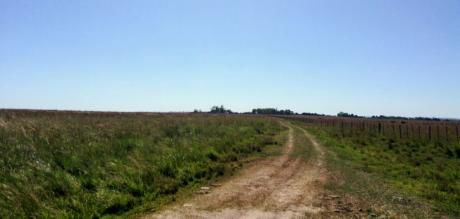 Campo De 4.350 Has En San Juan B.de ñembucu-dpto De ñeembucu