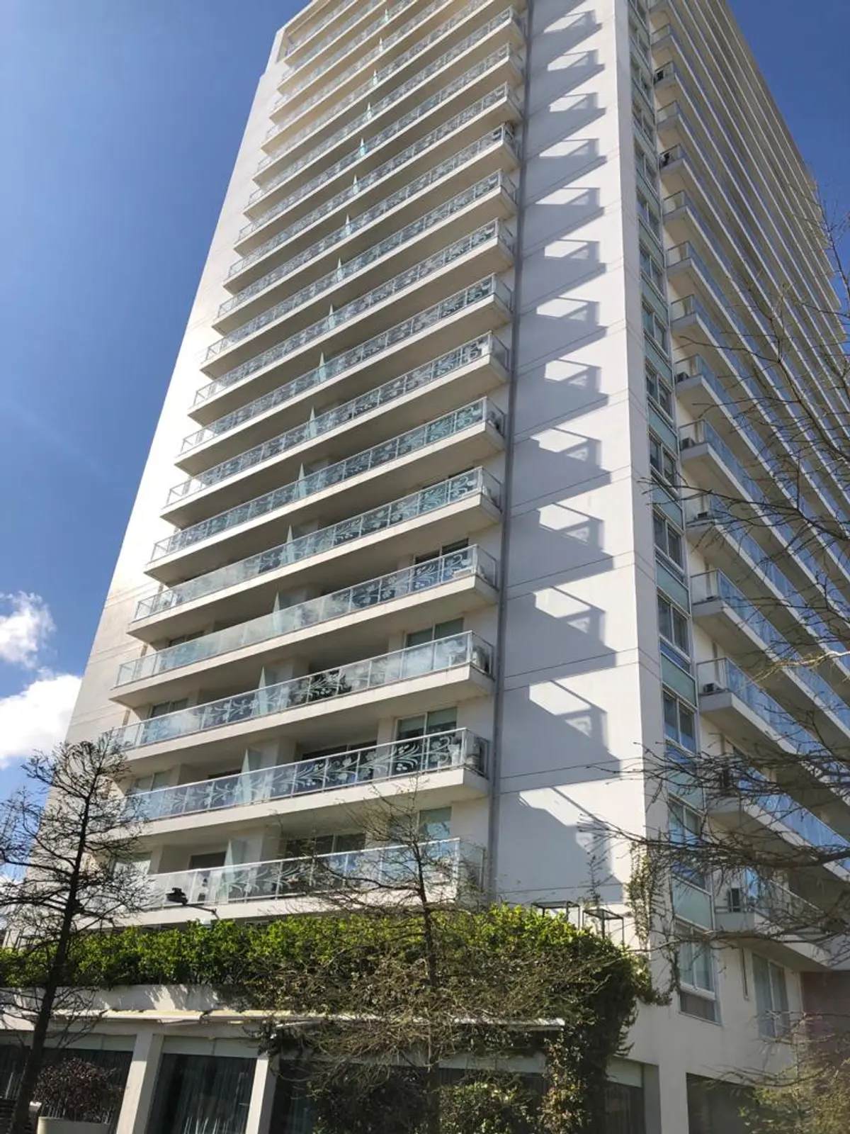 Alquiler Anual Apartamento En Edificio Yoo