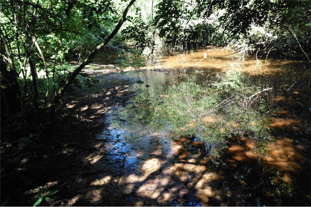 Terreno-Venta-Ruta 6, Capitán Miranda, Capitán Miranda, Itapúa — foto 3