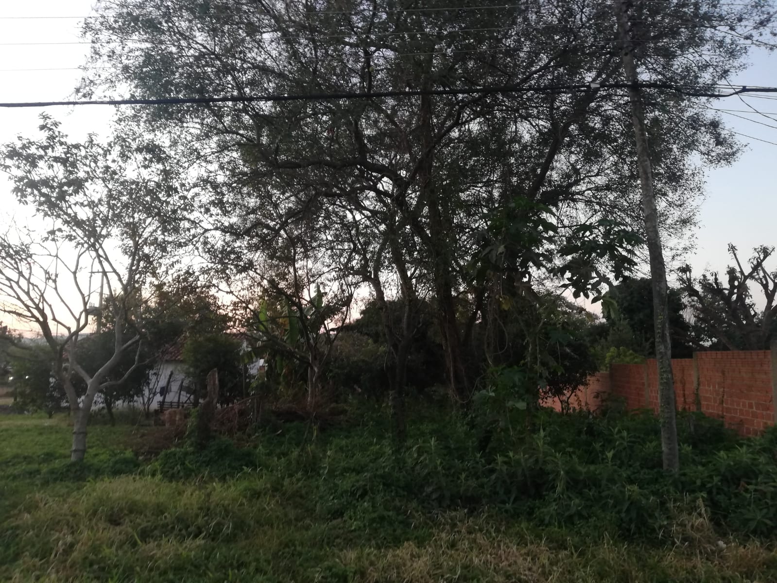 SE VENDE AMPLIO TERRENO EN PIRIBEBUY — foto 3