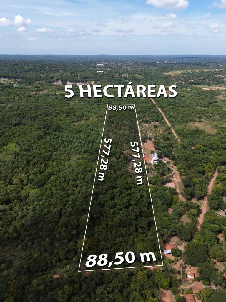 TERRENO DE 5 HECTAREAS EN YPACARAI — foto 2