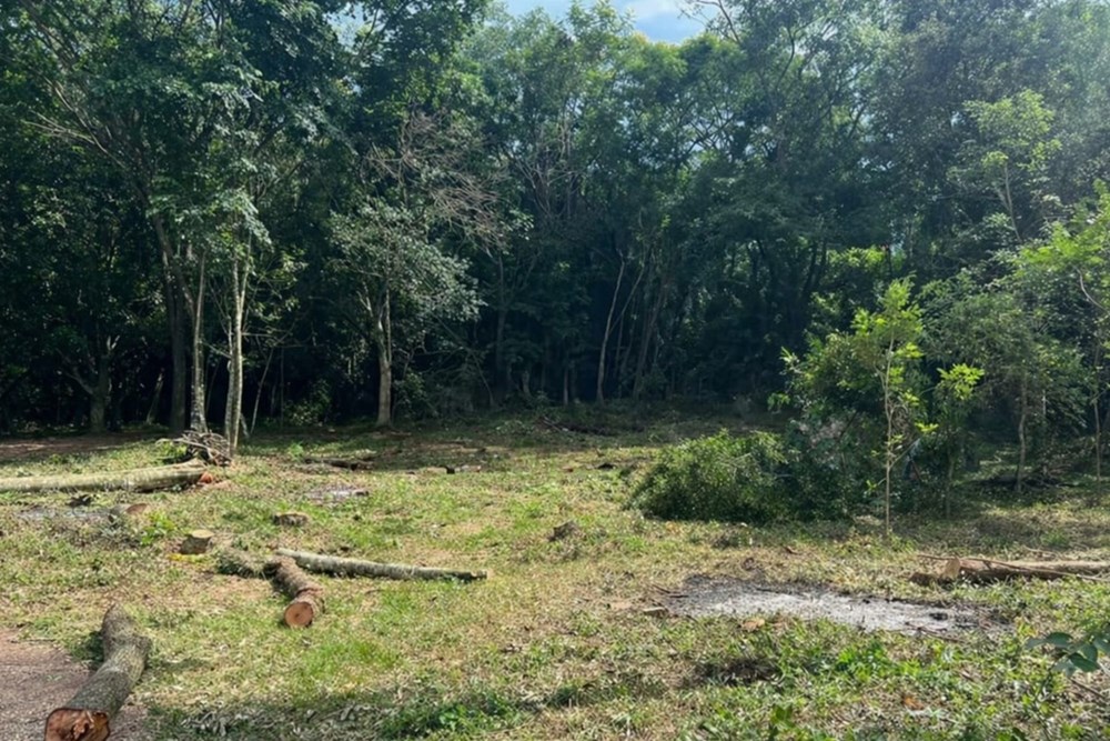 TERRENO 996 M2 EN SAN BERNARDINO ( A METROS DEL ANFITEATRO) — foto 3