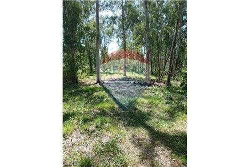 Terreno - Venta - Paraguay Cordillera San Bernardino — foto 3