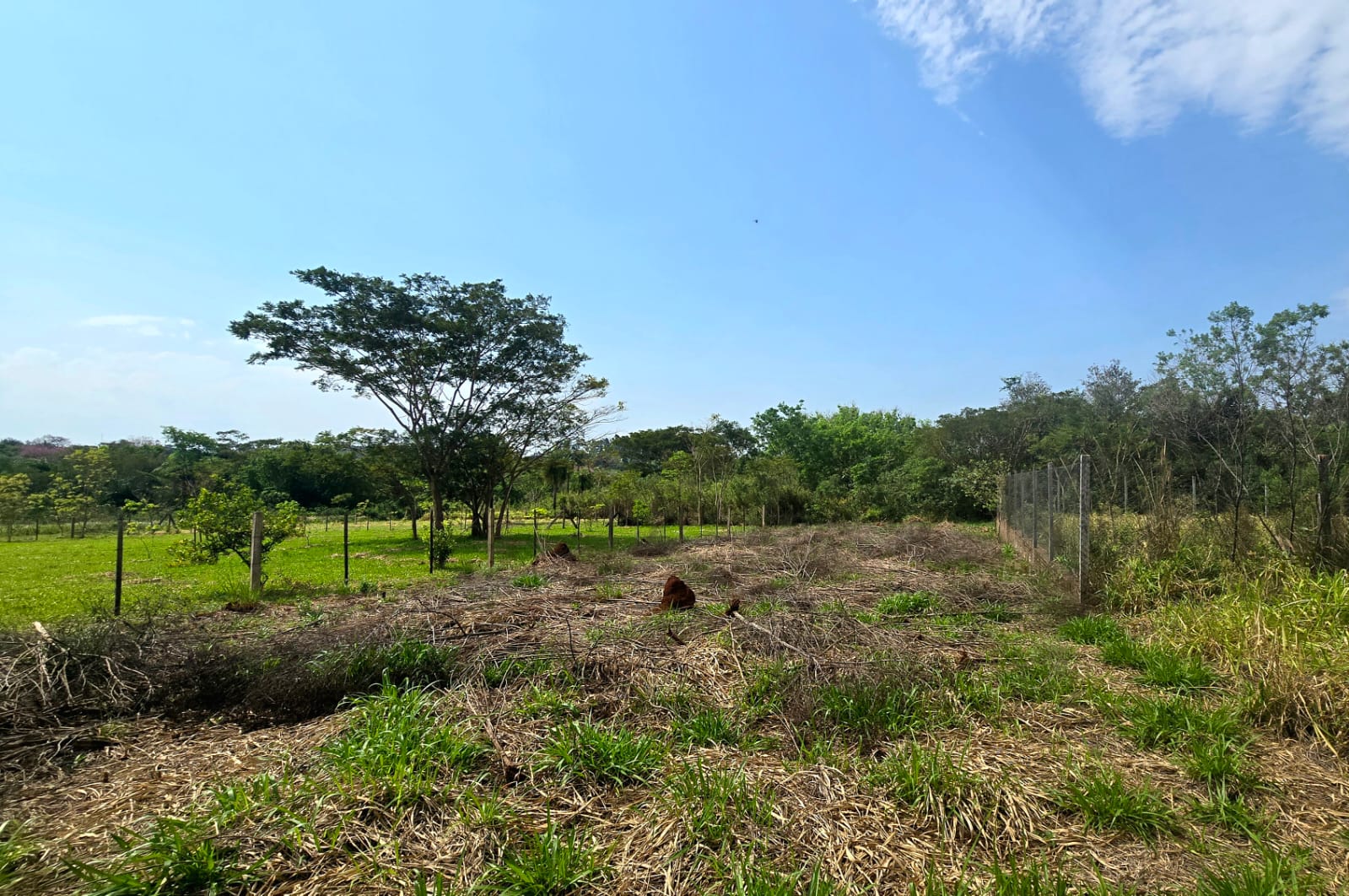 Vendo Terreno de 504 m2 en San Juan del Parana - LLA8425605 — foto 2
