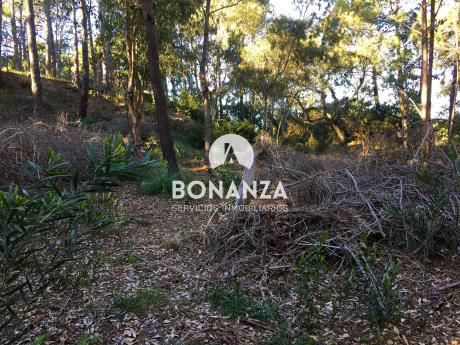 Terreno En Venta, Piriápolis, Punta Colorada, Zona Arbolada
