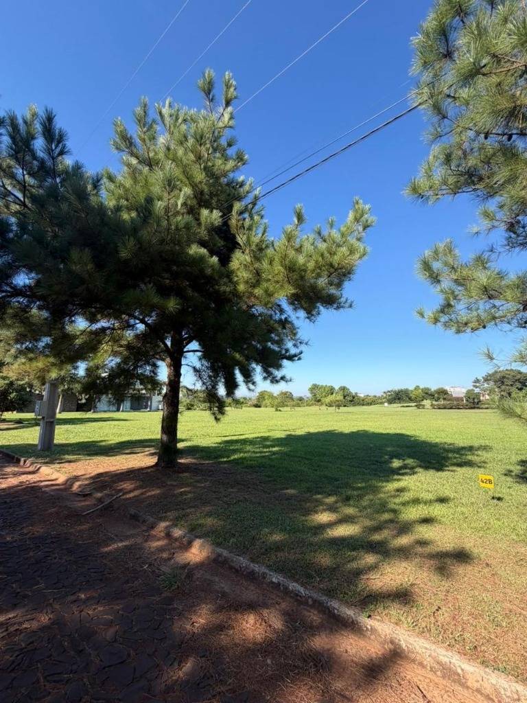 VENTA DE TERRENOS EN AGUA VISTA EN ENCARNACION — foto 3