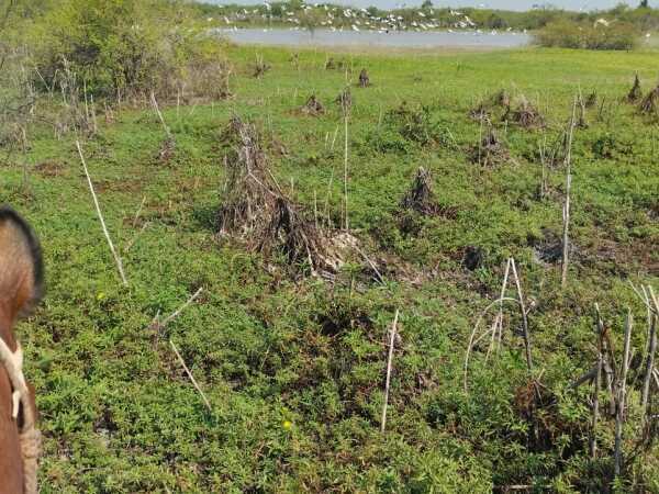 VENDO HERMOSA ESTANCIA DE 900HAS EN BOQUERÓN — foto 2