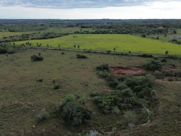 VENDO 19 HECTÁREAS EN SAN IGNACIO – MISIONES — foto 3