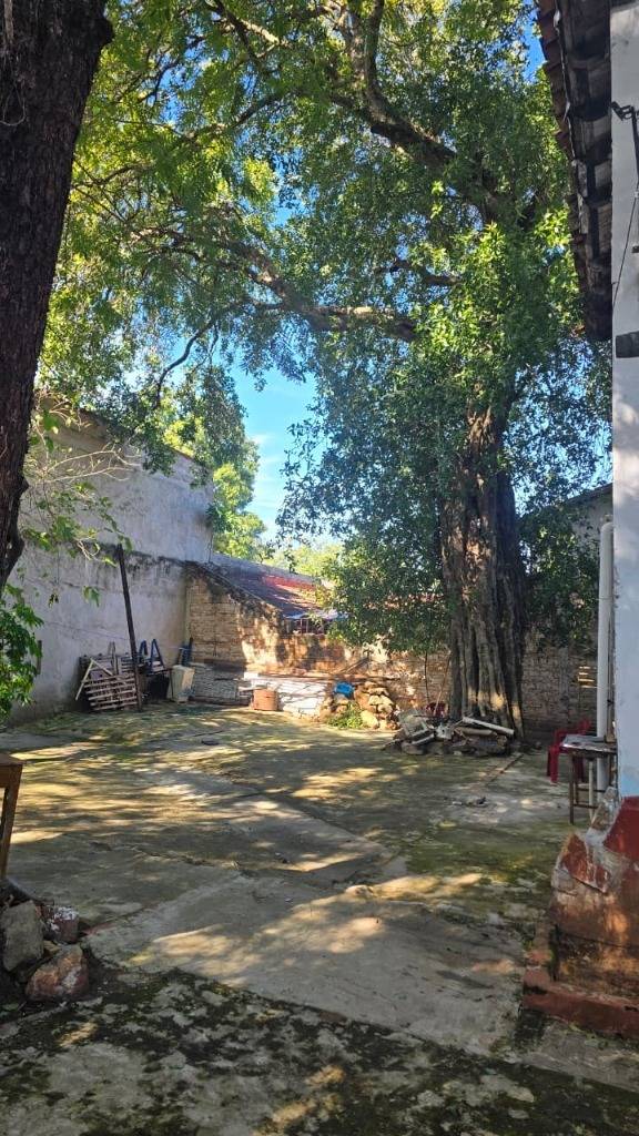 Alquiler Casa  comercial san bernardino — foto 3