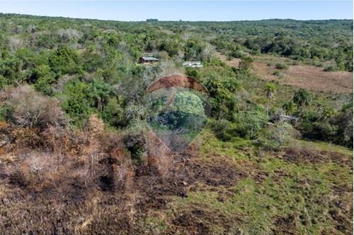 Terreno - Venta - Piribebuy, Cordillera, Paraguay — foto 2