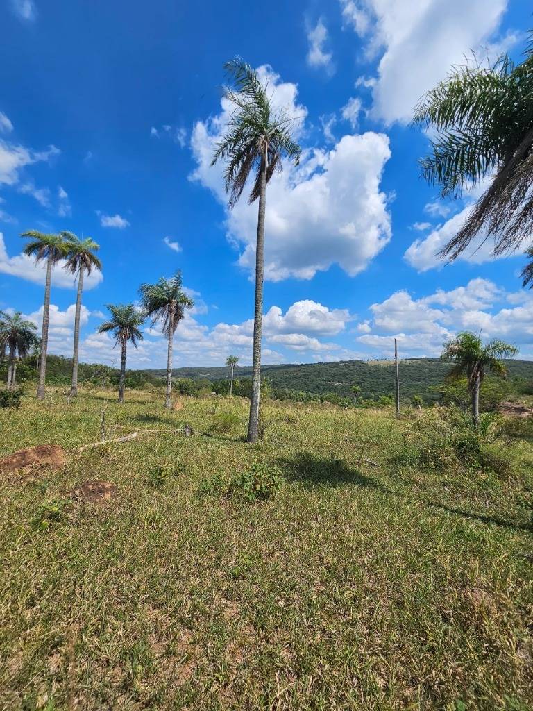 VENDO 5 HECTAREAS EN PARAGUARI — foto 2