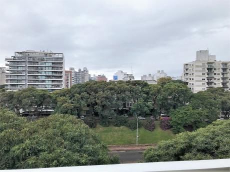 Divina Planta!!!! Vista Despejada.gge X 2