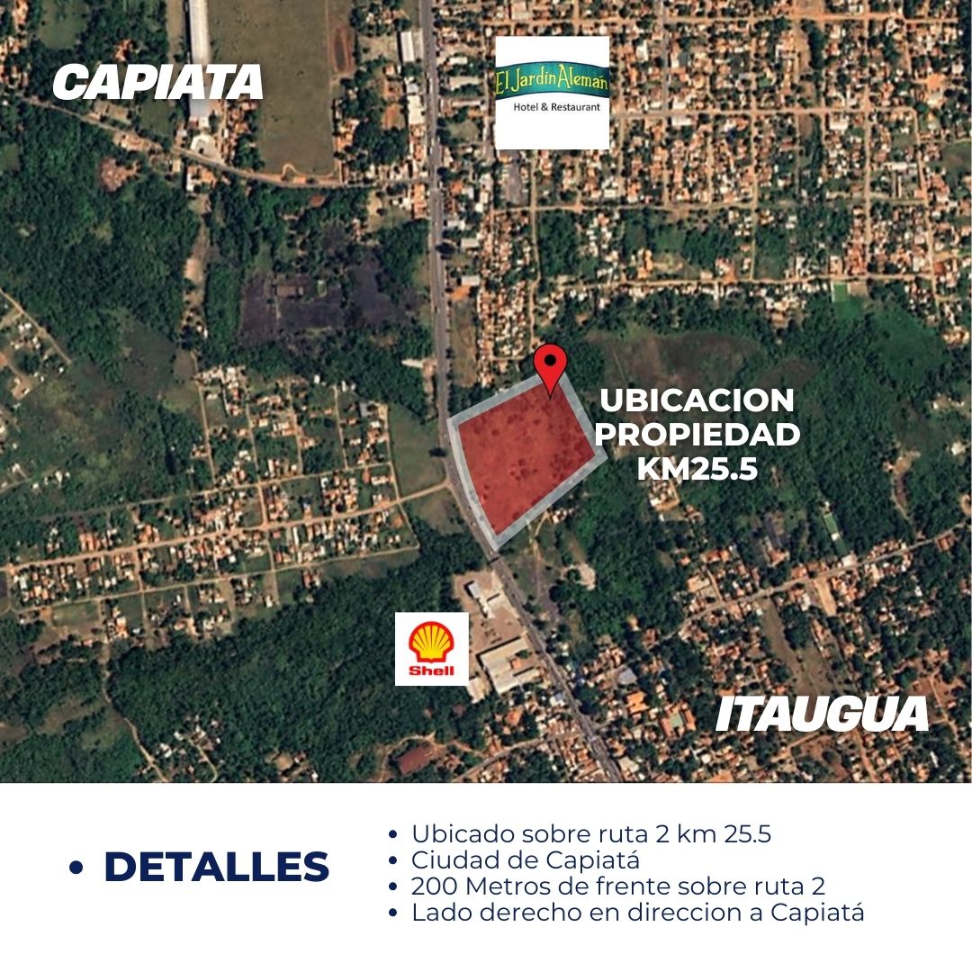 EN VENTA 4,5 HECTAREAS SOBRE RUTA 2 CON 200 Fr S/ RUTA — foto 2
